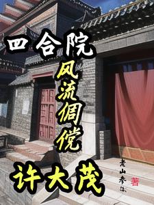 四合院:我许大茂